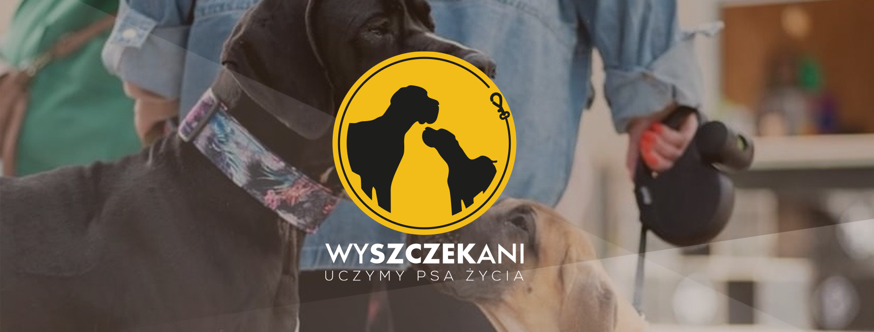 WYSZCZEKANI Baner